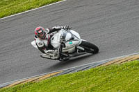 Middle Group White Bikes